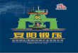 The pneumatic forging hammer and riveting machine had won the national prize and prov ncial prize The pneumatic forging hammer and electro hydraulic forging hammer had been awarded