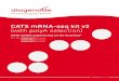 CATS mRNA-seq kit v2 (with polyA selection) - Diagenode · 2017-11-13 · Version 2 I 09.17 CATS mRNA-seq kit v2 (with polyA selection) CATS mRNA sequencing kit for Illumina® Cat