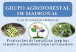 PLAN DE NEGOCIO AMBIENTAL - Pyme Parque Chagrespymeparquechagres.org/planf/pnamadronal.pdf · 2017-11-25 · Definición del negocio Se incursionara en el agro negocio de producción