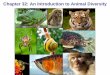 Chapter 32: An Introduction to Animal Diversitypeople.auc.ca/foote/BIOL1507.pdf · 2013-01-02 · • A pseudocoelom is a body cavity derived from the mesoderm and endoderm • Pseudocoelomates