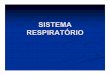 SISTEMA RESPIRATÓRIO · PDF file Sistema Respiratório Traquéia Do Grego, tracheia, artéria rugosa Tubo mediano (13cm x 2cm) que se situa entre a laringe (margem inferior da cartilagem