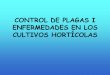CONTROL DE PLAGAS I ENFERMEDADES EN LOS CULTIVOS … · 2012-10-08 · CONTROL BIOLÓGICO DE PLAGAS POR CONSERVACIÓN PULGÓN LECHUGA, ALCACHOFA, ... es orientativo. Si se quiere