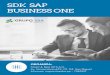 SDK SAP BUSINESS ONE - Grupo SBA · 2018-09-27 · sdk sap business one $0/5&/*%0 ,qvwdodflyq\8wlol]dflyqgho'dwd7udqvihu:runehqfksdud pljudflrqhvpdvlydv d &uhdflyqghsodqwloodv e 3urfhvrgh