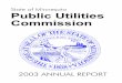 State of Minnesota Public Utilities Commission · State of Minnesota Public Utilities Commission 5 What Does the PUC Do? The Minnesota Public Utilities Commission (PUC) regulates