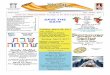 Shofar - Kehilat Shalom · Shofar Newsletter of Kehilat Shalom March 2017 Vol. 46 No. 4 Acar -Nissan -5777 Table of Contents From the Rabbi’s Study 2 Keleigh’s Kurrents 2 SAVE