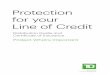 Protection for your Line of Credit - TD Insurance€¦ · 2 Protection For Your Line Of Credit Protecting Your Most Important Assets Flexibility is the biggest advantage with your
