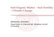 Soil Organic Matter – Soil Fertility – Climate Change...Soil Organic Matter – Soil Fertility – Climate Change Johannes Lehmann Department of Crop and Soil Sciences, Cornell