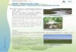 Hong Kong Wetland Park Factsheet No. 3 · Flooded forest is a woodland area which is being flooded seasonally. Trees growing on the waterlogged substratum which provide a range of