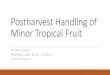 Postharvest Handling of Minor Tropical Fruit · 2018-10-24 · Abiu Acerola Atemoya/Cherimoya Avocado Banana Bilimbi Breadfruit Carambola Coconut Dragon Fruit Durian Guava Jaboticaba
