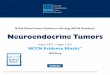 NCCN Clinical Practice Guidelines in Oncology (NCCN Guidelines …jaxelection.altervista.org/pancreatic/NCCN3.2017Neuro... · 2017-08-09 · NCCN Clinical Practice Guidelines in Oncology