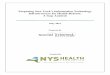 Preparing New York's Information Technology Infrastructure ... · Preparing New York’s Information Technology Infrastructure for Health Reform: A Gap Analysis May 2011 ... State