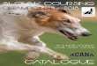 SLOVAK COURSING CHAMPIONSHIP 2018coursing.wbl.sk/katalog_adamov_2018_en.pdf · Slovak Coursing Champion 2018 This title can be awarded only the best placed dog with Slovakian licence
