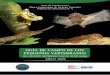 GUÍA DE CAMPO DE LOS PEQUEÑOS VERTEBRADOS DEL …...pecies, el compendio de especies y finaliza con las láminas de fotografías de los taxones tratados en el compendio. La lista
