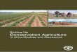 Scaling-up Conservation Agriculture in Africa: Strategy and … up Conservation Agricultur… · or any other practice that promotes soil cover and crop rotation greatly promotes