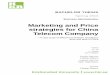 Marketing and Price strategies for China Telecom …639892/FULLTEXT01.pdfBACHELOR THESIS Spring 2013 Business Administration Marketing and Price strategies for China Telecom Company---A