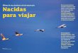 Millones de aves atraviesan cada año nuestro país Nacidas ...hispagua.cedex.es/sites/default/files/hispagua_articulo/ambienta/n18… · hace las veces de calendario biológico y