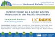 Hybrid Poplar as a Green Energy Resource in the …...Hybrid Poplar as a Green Energy Resource in the Pacific Northwest Varaprasad Bandaru UC Davis Energy Institute Contributors: Andrew