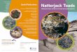 Jo Wilson Claire Buckley Trevor Beebee Ash Bennett …...Amphibian Habitat Management Handbook. Amphibian and Reptile Conservation, Bournemouth.** Beebee, T.J.C. and Buckley, J. (2001)
