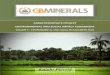 FARIM PHOSPHATE PROJECT ENVIRONMENTAL AND SOCIAL … · FARIM PHOSPHATE PROJECT ENVIRONMENTAL AND SOCIAL IMPACT ASSESSMENT ... Environmental and Social Impact Assessment . ... A detailed