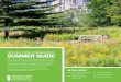 IN THIS GUIDE - Central Park Conservancyassets.centralparknyc.org/pdfs/guides/Summer-Guide-2019.pdf · CENTRAL PARK CONSERVANCY SUMMER GUIDE 2019 3 HOW TO ENJOY SUMMER IN CENTRAL
