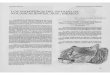 REVISTA 8 - Universidad Autonoma De Aguascalientes 9.pdf · Longitud de la Pata Trasera (LPT), Longitud de la Oreja (1-0), asi como Longitud del Tragus y del Antebrazo en los murciélagos