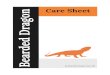 Care Sheet on - Bearded Dragon Care 101 · dragon, and there are some great options available. Bearded dragons need as much ﬂoor space as possible, so an enclosure with plenty of