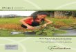 Guía Práctica de Uso de la Orina en la Producción Agrícola€¦ · Experimentos de cultivos aplicando orina como fertilizante 38 ... agrícolas relacionadas con el uso de la orina