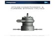 STEAMCONDITIONING- & TURBINE BYPASS VALVES · It routes high pressure and high temperature steam around the HP Turbine, from the main steam line typically to the cold reheat line