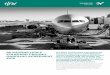 JANUAR 2018 AVIATION - Holman Fenwick Willan · legislation en route (e.g. GDPR in the EU), heightened public awareness, privacy campaigns and activism. Immigration The provisions