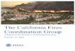 The California Fires Coordination Group - FEMA.gov · aftermath of the California Wildfires of 2003. • Through an interlocking two-tiered system of working groups, the Washington-based