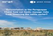 Deforestation in the Paraguayan Chaco: how can banks ... · Chaco can also have large impacts on cattle operations in the region because of slow water absorption rates in the clay