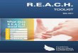 R.E.A.C.H. - Ministry of Health...Email: cec-patientbasedcare@health.nsw.gov.au . Acknowledgements. The Clinical Excellence Commission (CEC) acknowledgesmembers of the Patient and