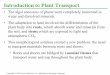 Introduction to Plant Transport · plant body into roots, which absorb water and minerals from the soil, and stems which are exposed to light and atmospheric CO 2. •This morphological