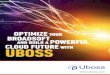 OPTIMIZE YOUR BROADSOFT AND BUILD A POWERFUL CLOUD ...€¦ · BroadSoft License Optimization CFO Uboss does everything in real-time. Ensuring 100% billing automation and accuracy