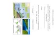 biomes pond · Example The pond ecosystem The exam paper will refer to this case study in an exam question as; ‘the features of a small scale ecosystem in the UK’ Key idea: The
