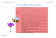 40 - Sexual Reproduction in Plants - Mr. C - Sexual Reproduction in...40 Sexual Reproduction in Plants Mr. C Biology 5 January 15, 2014 Pollen Development (Male) • Meiosis occurring