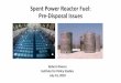Spent Power Reactor Fuel: Pre-Disposal Issues · 2019-04-02 · The current generation of dry casks was intended for short-term on site storage, and not for direct disposal in a geological