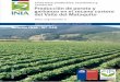 Producción de poroto y - INIAbiblioteca.inia.cl/medios/biblioteca/boletines/NR40652.pdf · Producción anual nacional de granos secos de las principales 28 leguminosas cultivadas