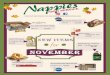 NOVEMBER - Nappie's Foodsnappiesfoods.com/wp-content/uploads/2018/10/NOVEMBER-2018.pdfattered Mozzarella Sticks FRO-MOZF 4-3lb per case / 45 per bag readed Hot Pepper heese alls FRO-HPF