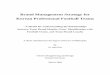 Brand Management Strategy for Korean Professional football ... · This research recommends a new approach to brand strategy for Korean professional football teams, focusing on the