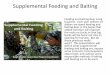 Supplemental Feeding and Baiting · 2014-01-21 · Supplemental Feeding and Baiting Here is an example of 4 actual deer clubs in AR and their antler characteristic data for 2.5 and