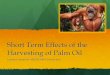 Short Term Effects of the harvesting of palm oil€¦ · Wildlife The effect on wildlife that palm oil harvesting has is one of the more devastating and is campaigned frequently because