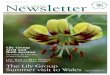 The Lily Group Summer visit to Wales Group Newsletter Autumn 18.pdf · 2 Published by the RHS Lily Group, 45 Skegby Lane, Mansfield, Nottinghamshire, NG19 6QS UK LILY GROUP Editorial