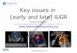 Key issues in (early and late) IUGR k0HGLFLQD)HWDO%DUFHORQD · Key issues in (early and late) IUGR Eduard Gratacós Maternal-Fetal Medicine Department, Hospital Clínic, University