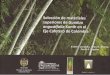 cartilla bambudecolombia2 · la oferta natural existente en la región cafetera. Estas características sobresalientes son el resultado del genotipo, el ambiente y la interacción