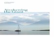 Awakening the Giant - Scottish Tourism Alliance · The Strategic Framework for Scotland’s Marine Tourism Sector is led by a working group of marine tourism industry leaders and