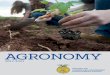AGRONOMY - UNL ALEC · agronomy industry. • To determine the ability to identify agronomic: • Crops • Weeds • Seeds • Insects • Diseases • Plant nutrient deficiencies