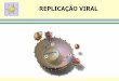 Composição química dos vírus Ácido nucléico · Replicação viral conceitos básicos Replicação - síntese de moléculas de ácido nucléico - processo de multiplicação