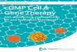 Updated Edition 2019 cGMP Cell & Gene Therapy€¦ · high yield production cell lines with a rigorous quality control system for cGMP . Vigene Biosciences, Inc . (hereafter Vigene)