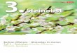 Berliner Pflanzen – Obstanbau im Garten Teil 3 – Steinobst ... · PDF file Wilsonomyces carpophilus) Schadbild Auf jungen Blättern von Kirschen, Pflaumen, Aprikosen, Pfirsich
